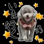 大人かわいい日常メッセージ?
