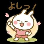 ✨白うさぎさん🐰
