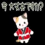 かわいい猫😺が来ますよ！