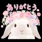 めっちゃ可愛い🫣🫣🫣