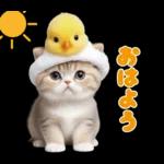 よろしくお願いします 清 ぺこり