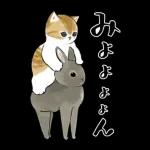 ずっとあなたを守ります😊😊😊