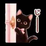 黒猫のつめあわせ♪