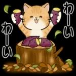 おつかれ
さまです
Cafe