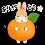 朝から元気にがんばりまーす✊