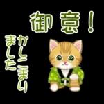 冬のキラキラおめめの子猫ちゃん
