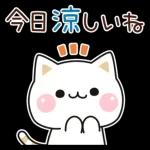 秋の気づかいのできるネコ♪飛び出す！