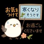 「ほっこり秋のひとこと」