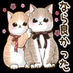 仲良しねこ♡気使いいっぱいスタンプ_-