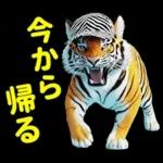 大阪神戸の野球好き虎ファン向け2