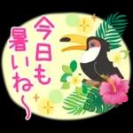 大人女子の日常【夏編】