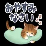 良い一日をなりますように！