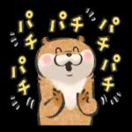可愛い嘘のカワウソ