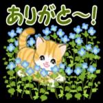 ころころ子猫 春の野原でかくれんぼ