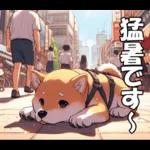 夏の天気をお知らせする柴犬【便利・日常】