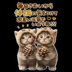 大きく表示♡冬にゃんこ