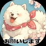 おはよう私の子犬