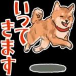 柴犬の手書き風スタンプです。