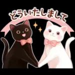 黒猫のつめあわせ♪