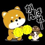 いいね	👍👍👍