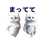 踊る！ペルシャ猫