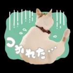まるちゃんスタンプ＃1