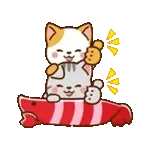 動く！ミル&モカ 毎日使える定番