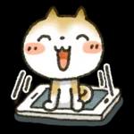 かわいいうさぎちゃん　毎日使う