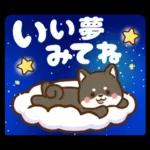 黒豆柴 あずき♡毎日使える 秋冬ver