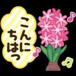 大人かわいい日常&よく使う言葉