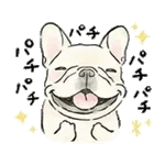 【動く】毎日使えるフレンチブルドッグ