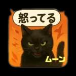 黒猫のムーンちゃん