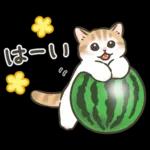 最近どう？？🥺🥺🥺