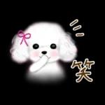 初夏の大人可愛い♡ゆる敬語