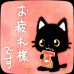 かわいい黒猫ちゃんの一日