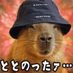 感情丸出しスタンプ