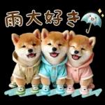 今日も頑張ったね！！