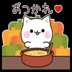 秋の気づかいのできるネコ♪飛び出す！