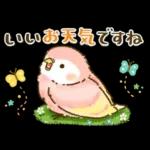 敬語が話せる！もふもふインコ