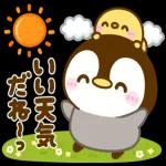 ぺんぺんの春❤️