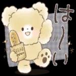 今日の癒しと元気をお届けますよ〜