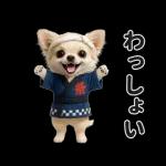 ずっと使える♡夏のチワワ