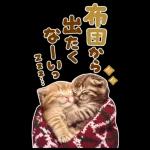 大きく表示♡冬にゃんこ