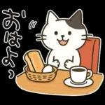 猫ちゃんとスイーツと夏