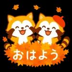 ほっこり秋タヌキ～～
