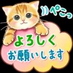 ちっちゃい猫のスタンプ 寧なことば ちっちゃい猫のスタンプ ちっちゃい猫のスタンプ 丁寧なことば 