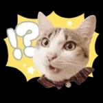 まるちゃんスタンプ＃1