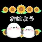 【シマエナガです】花束/夏のひまわり4