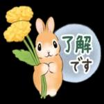 おねがいします
よろしく