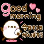 飛び出す♪もっちりヒヨコ兄弟夏